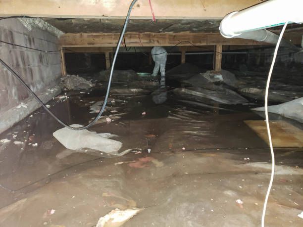 Best Crawl Space Water Damage Solutions in West End Cobb Town, AL